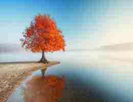 监‌控‌网﻿页﻿的﻿软﻿件﻿